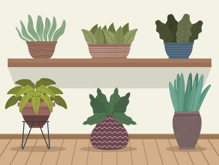houseplants gardening in shelvesのイラスト素材