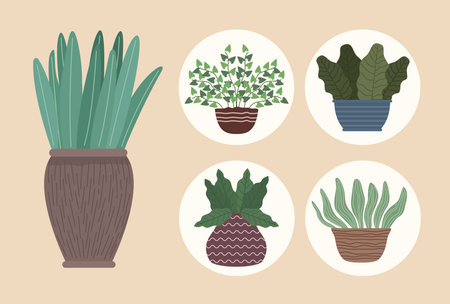 five houseplants gardening iconsのイラスト素材