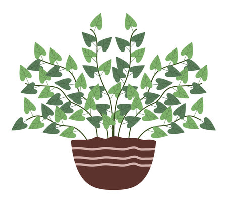 houseplant leafy in potのイラスト素材