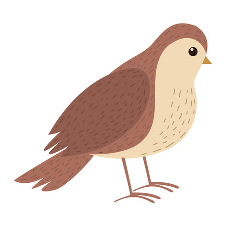 cute swallow birdのイラスト素材