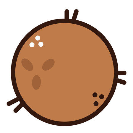 coconut fruit doodle iconのイラスト素材