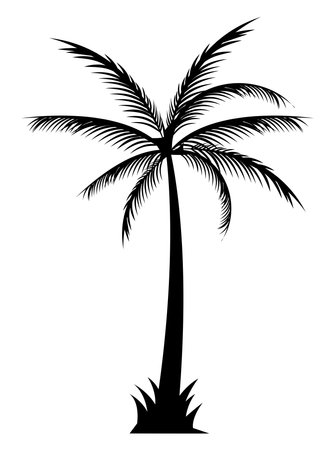 tree palm silhouette styleのイラスト素材
