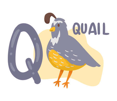 quail and q letterのイラスト素材