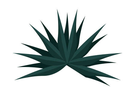 exotic green leafのイラスト素材