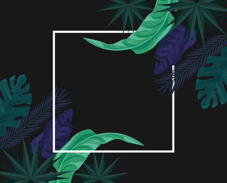 tropical leafs in frameのイラスト素材