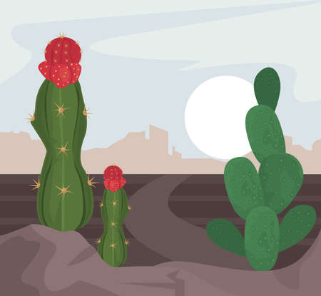 cactus in desert sceneのイラスト素材