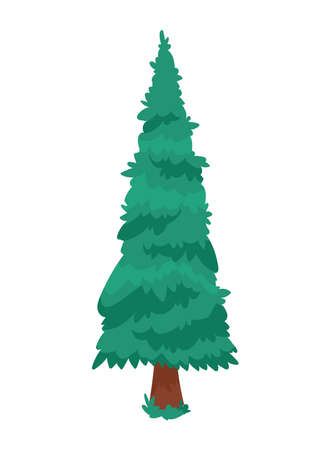 pine tree plantのイラスト素材