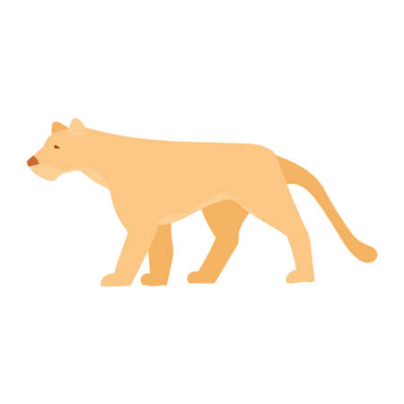 cougar wild animalのイラスト素材