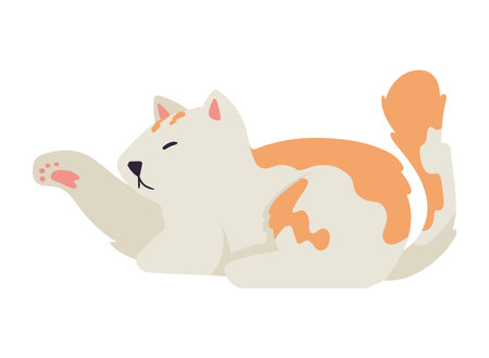 white and yellow catのイラスト素材