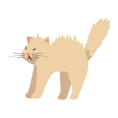 cute white cat mascotのイラスト素材