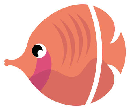 red fish sealife animalのイラスト素材