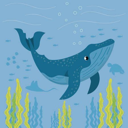 whale sealife underwaterのイラスト素材