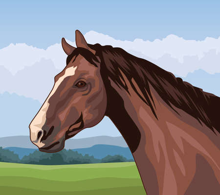 horse animal in landscapeのイラスト素材
