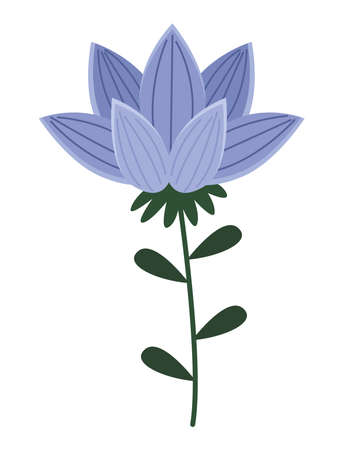 lilac flower gardenのイラスト素材