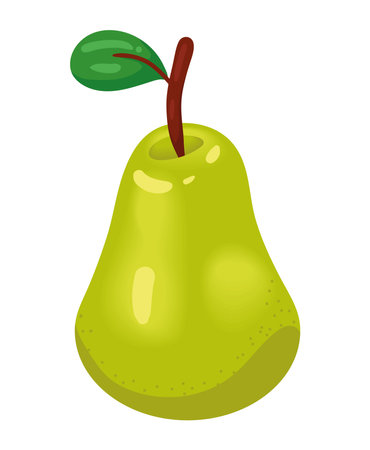fresh pear fruit healthyのイラスト素材