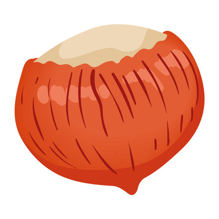 chestnut seed organic productのイラスト素材