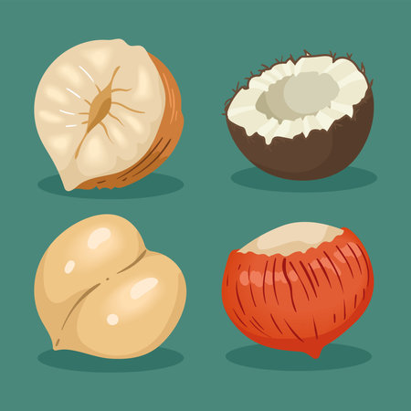 four nuts snacks iconsのイラスト素材