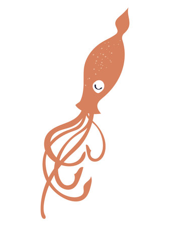 squid sealife animalのイラスト素材
