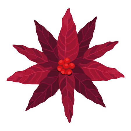 christmas red flowerのイラスト素材