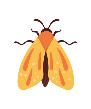 yellow moth insect animalのイラスト素材