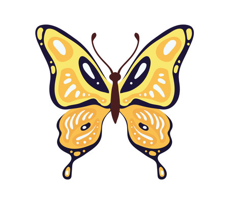 butterfly with yellow wingsのイラスト素材
