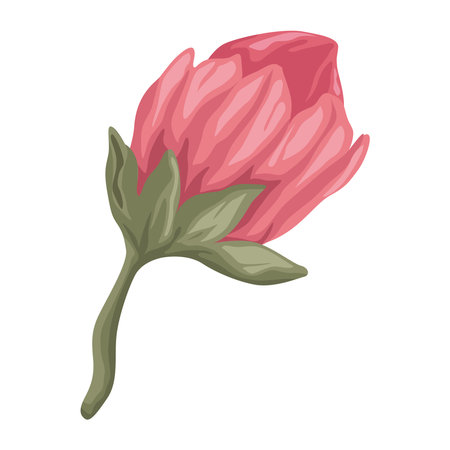 red rose flower gardenのイラスト素材