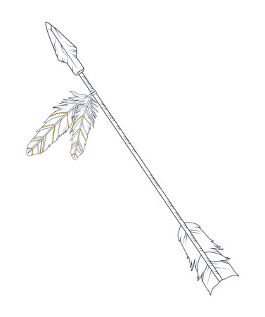 arrow with feathers bohoのイラスト素材