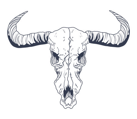 bull skull boho styleのイラスト素材