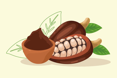 cocoa plant fruitsのイラスト素材