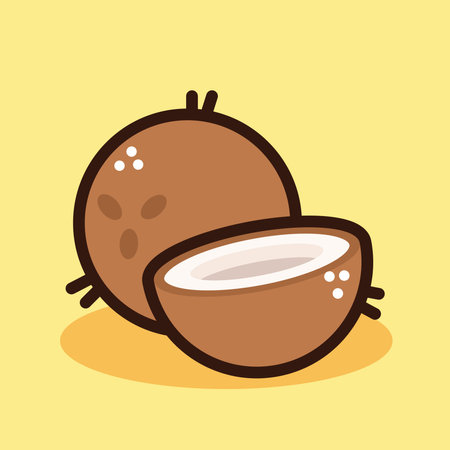 fresh coconut fruit healthyのイラスト素材