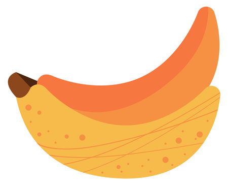 fresh banana fruit healthyのイラスト素材