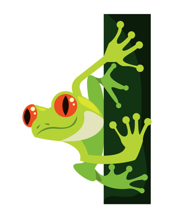 green frog with red eyesのイラスト素材