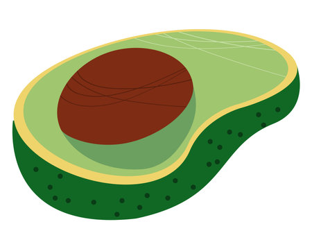 fresh avocado vegetableのイラスト素材