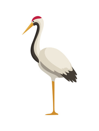 red crowned crane japaneseのイラスト素材