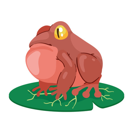 exotic red frog floatingのイラスト素材
