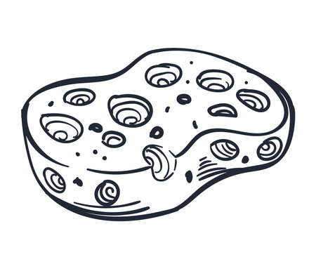 cleaning sponge doodle styleのイラスト素材