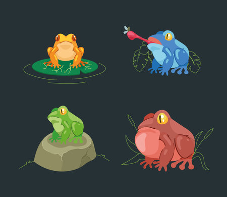 four frogs amphibiansのイラスト素材