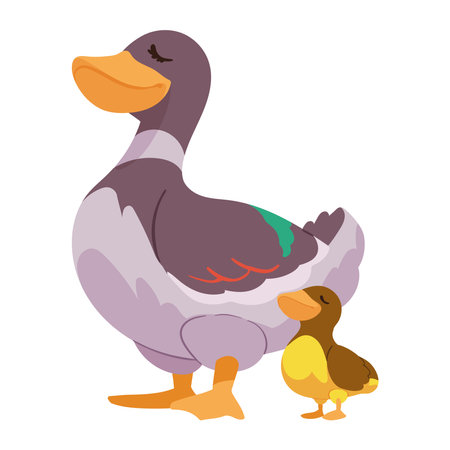 duck mother with babyのイラスト素材