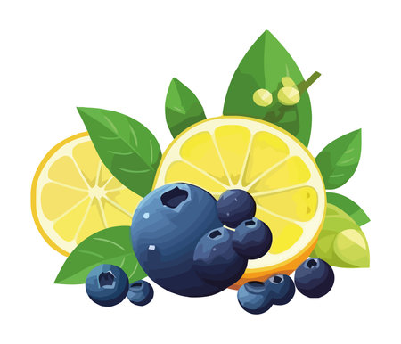 Juicy blueberry lemon slice fresh and ripeのイラスト素材