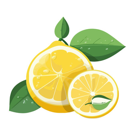 Juicy citrus fruit slice, fresh and ripeのイラスト素材