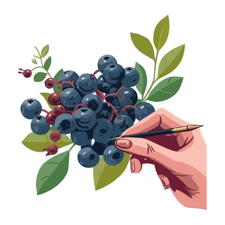 Hand holding ripe berry fruit, fresh and organicのイラスト素材