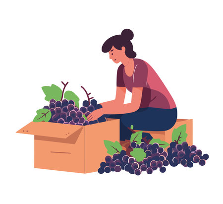 Healthy farmers harvest ripe grapes for winemakingのイラスト素材