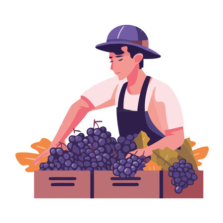 Men harvesting ripe grapes for winemaking industryのイラスト素材