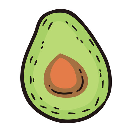 Fresh avocado slice for a vegetarian mealのイラスト素材