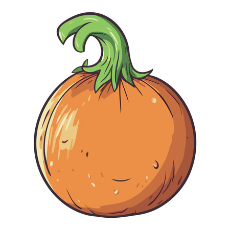 Fresh autumn vegetable ripe pumpkin for healthy eatingのイラスト素材