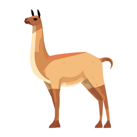 wild llama perubian animal characterのイラスト素材