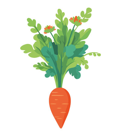 Fresh organic carrot symbolizes vegetarian mealのイラスト素材