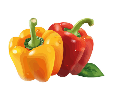 Fresh organic vegetables bell peppersのイラスト素材