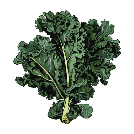Fresh green vegetable salad, healthy and organicのイラスト素材