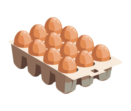 Fresh organic eggs from the farm cartonのイラスト素材